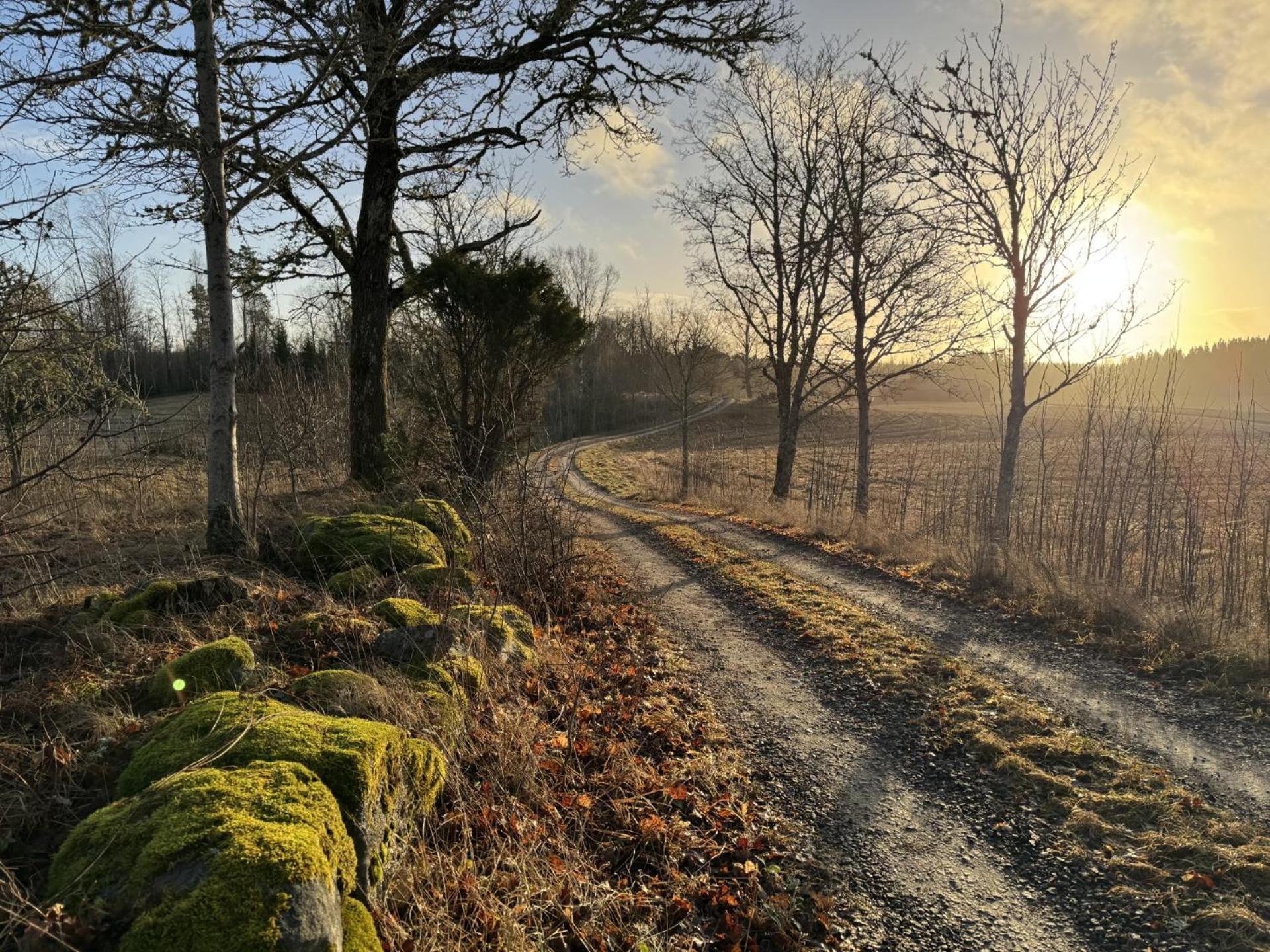 Noretjärns Stugby Årjäng Exteriör bild