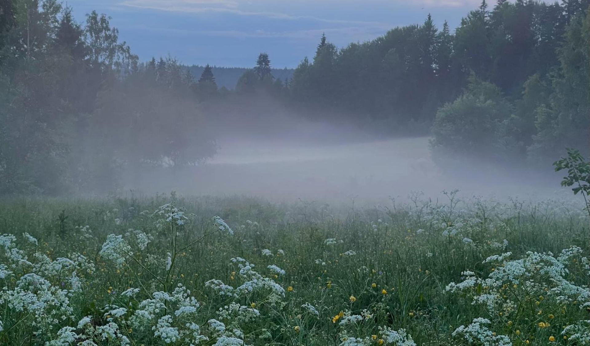 Noretjärns Stugby Årjäng Exteriör bild